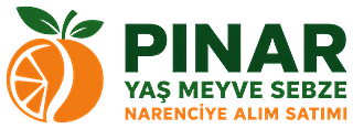 Pınar Yaş Meyve Sebze Narenciye Alım Satımı